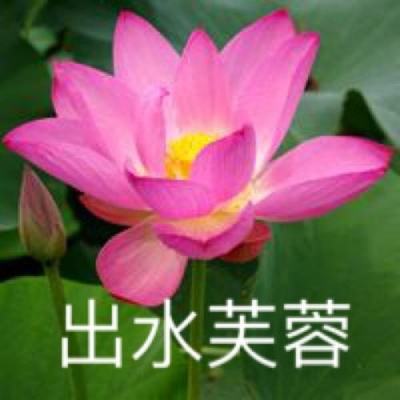神都夜行录华为渠道服下载